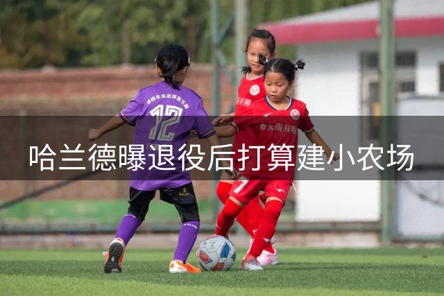 哈兰德曝退役后打算建小农场