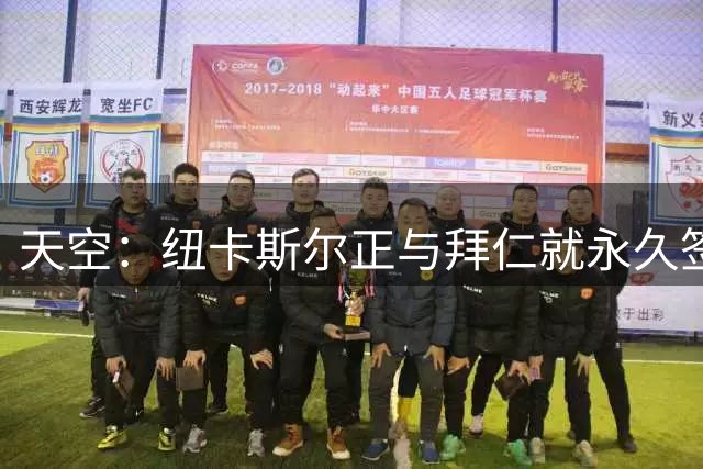 天空：纽卡斯尔正与拜仁就永久签下帕利尼亚进行谈判
